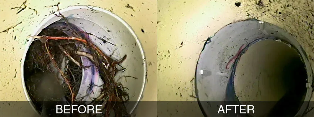 廚房、陽台排水孔堵塞如何處理?5 招解決辦法、費用與預防方法